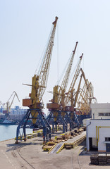 Fototapeta na wymiar Harbor cranes in sea cargo port