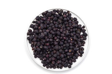White round plate of blackberries isolated on white background. Dish with berries fruit top view close-up.