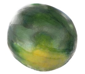 Wassermelone