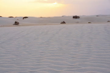 Sunset in the desert. beautiful repeating lines from the wind on the sand Desert landscape. In the distance the sea on the horizon.
