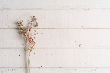 Bouquet of dried flowers on wooden background