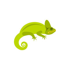 Chameleon icon in flat style on a white background