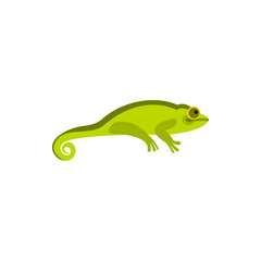 Chameleon icon in flat style on a white background