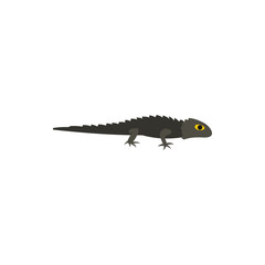 Salamander icon in flat style on a white background