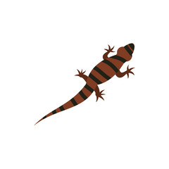 Ambistoma tiger, salamander icon in flat style on a white background