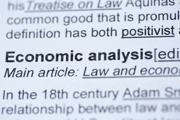 Economic Analysis - obrazy, fototapety, plakaty