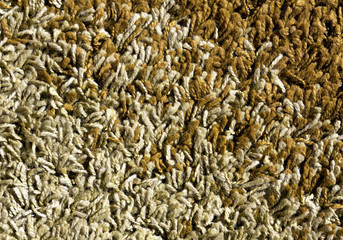 abstract color carpet texture.