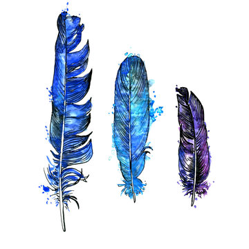 watercolor set of feathers