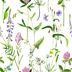 Fototapeta na wymiar seamless pattern with watercolor drawing flowers and herbs