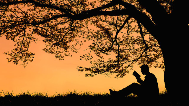 man reading a book at sunset in peace .