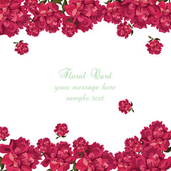 Rose flowers background Card Vector