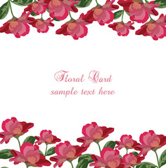 Roses floral card. Vector rose flowers banner. Vintage background, greeting or invitation card for wedding, birthday, Valentine's Day, Mother's Day