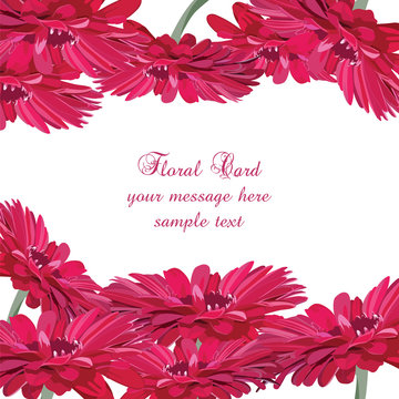 Gerbera pink flower card. Vector floral background for greetings, wedding, invitation, posters