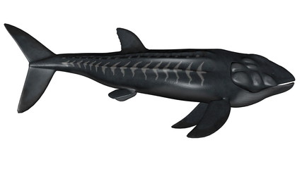 Leedsichthys prehistoric fish - 3D render