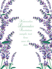 Lavender Card Border Vector. Gentle blossom floral bouquet. Vintage Label with lavender beautiful fragrance