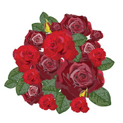 Fototapeta premium Delicate Red Rose isolated. Vector rose flower for background greeting cards and invitations of the wedding, birthday, Valentine's Day, Mother's Day