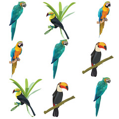 Parrots set collection Vector