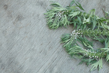 motherwort essential oil container 