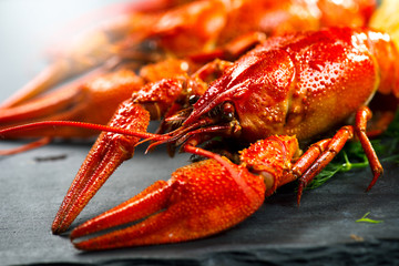 Red boiled crayfish with lemon and herbs on stone slate. Crawfish closeup