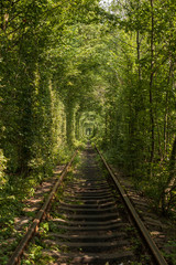 Obraz premium love tunnel in summer