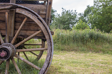 Obraz premium Hintergrund Planwagen (prairie schooner)