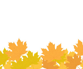 Autumn leaves isolated on white background, autumn banner for text. Vector illustration