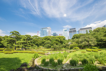 Fototapeta na wymiar 日本庭園と高層ビル