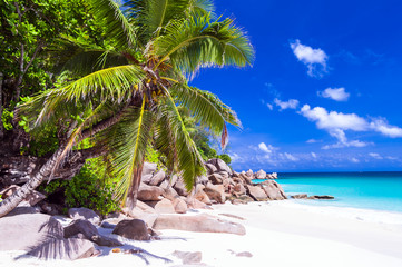 Tropical holidays in white sandy beaches of Seychelles, Praslin island