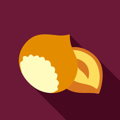 Nut flat icon. Fruit
