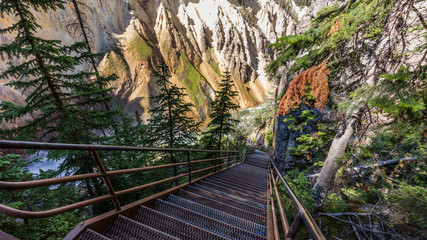 Fototapeta premium Stormy river flows in a narrow gorge in the rocks. Steps down to the bottom of the gorge. Uncle Toms Trail on The Grand Canyon of the Yellowstone National Park, Wyoming