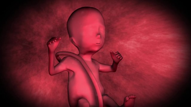 Fetus moving in the womb.
