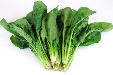 fresh green spinach on white background