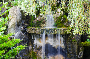 Fototapeta premium Wodospad w dziczy