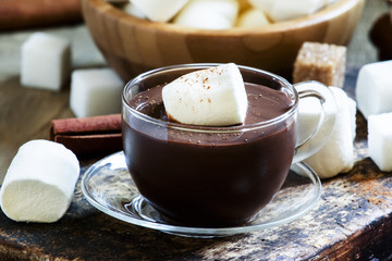 Chocolate in a glass cup with marshmallows and cinnamon, vintage