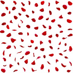 Seamless texture of dark red rose petals