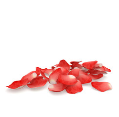 Red rose petals flying on the floor