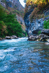 Beautiful view of mountain river in summer. Mountain river in th