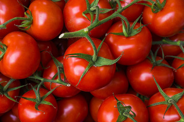 fresh tomatoes. red tomatoes background. Group of tomatoes