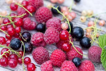 fresh organic berries. raspberries, blueberries, red currants an