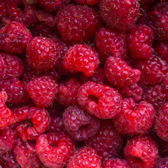 raspberries background