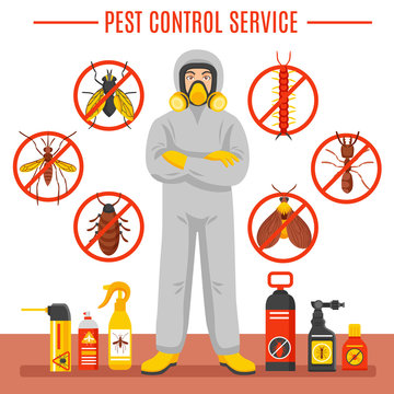 Pest Control Service Illustration