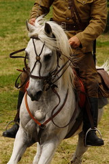 Jeździec na białym koniu