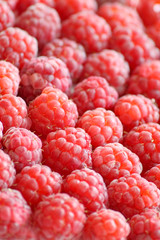 Lot`s of raspberry