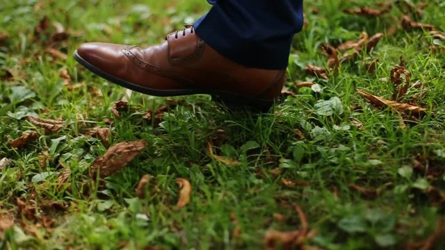 Male feet in blue suit and brown shoes walking on green park grass with autumnal leaves, warm tonal