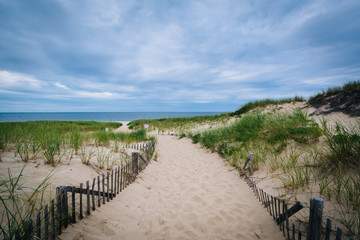 Fototapeta premium Fence and path through sand dunes at Race Point, in the Province