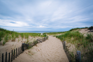 Fence and path through sand dunes at Race Point, in the Province