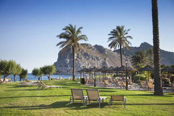 Fresh grass, beach chairs and palm trees. A paradise on earth.