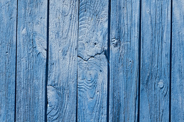 old wooden door  , background