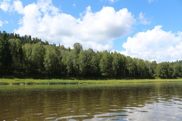 Берег реки в лесу