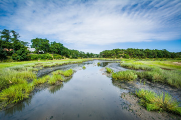 Fototapeta na wymiar View of a wetland from Uncle Tim's Bridge, in Wellfleet, Cape Co